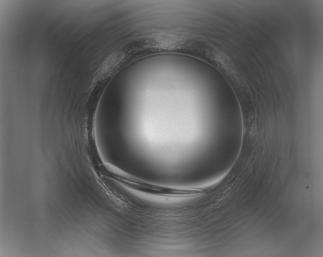 X0000056010685200508191302