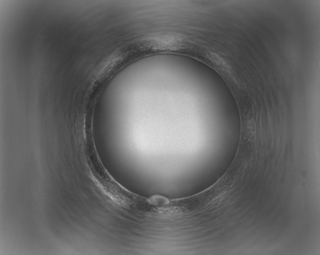 X0000056010686200508191302