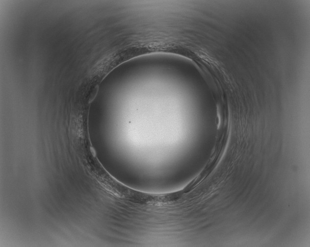 X0000056010689200508191302