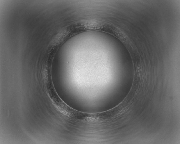 X0000056010690200508191302