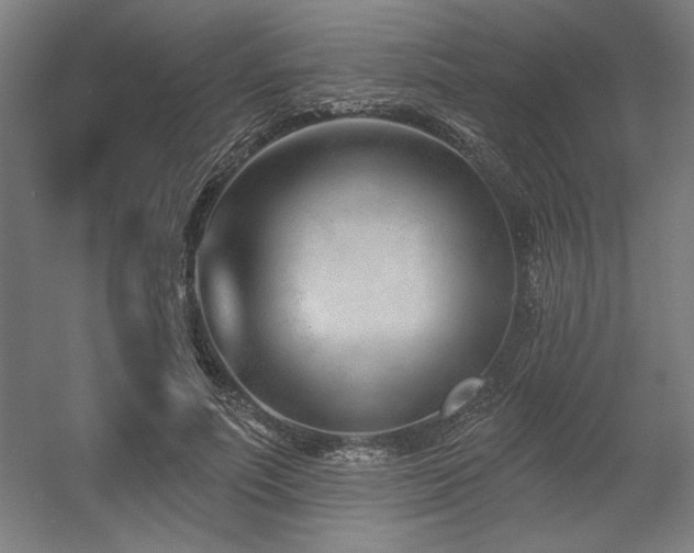 X0000056010691200508191302