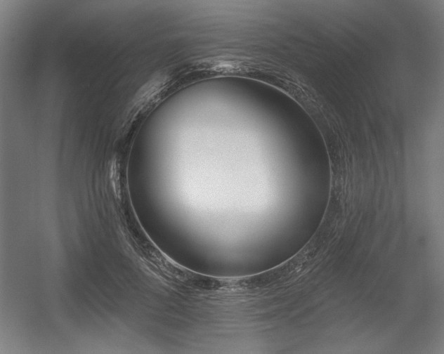 X0000056010696200508191301