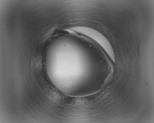 X0000056010697200508191301