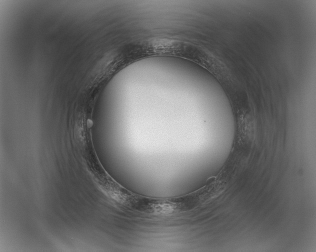 X0000056010698200508191301
