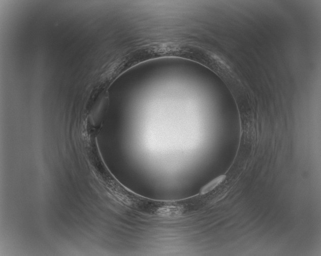 X0000056010700200508191301