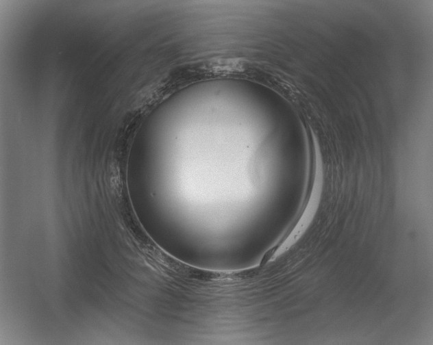 X0000056010704200508191301