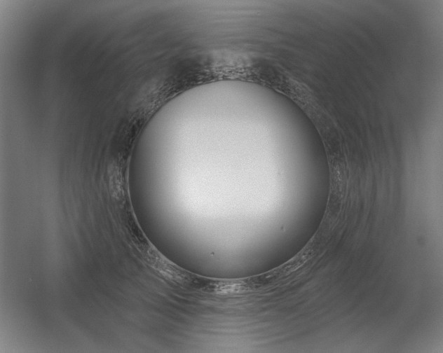 X0000056010705200508191301