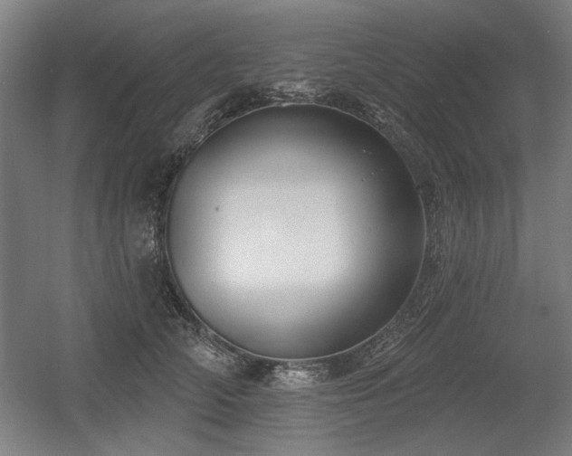 X0000056010706200508191301