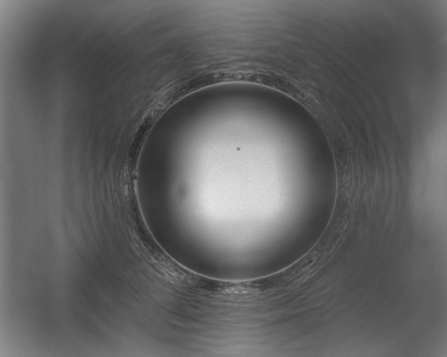 X0000056010708200508191301