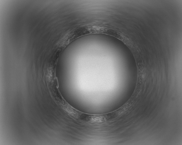 X0000056010709200508191301