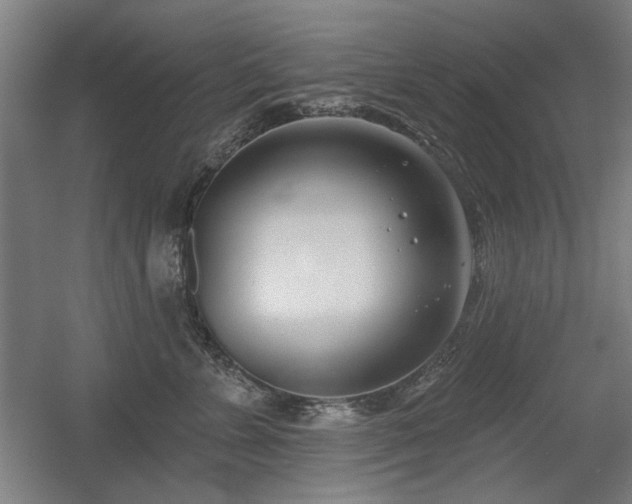 X0000056010715200508191301