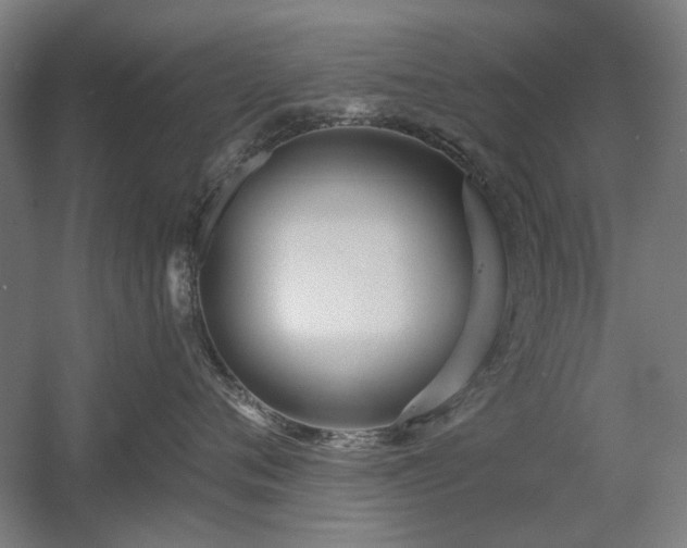 X0000056010720200508191301