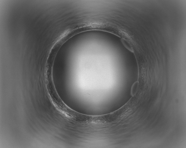 X0000056010730200508191300