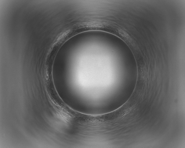 X0000056010731200508191300