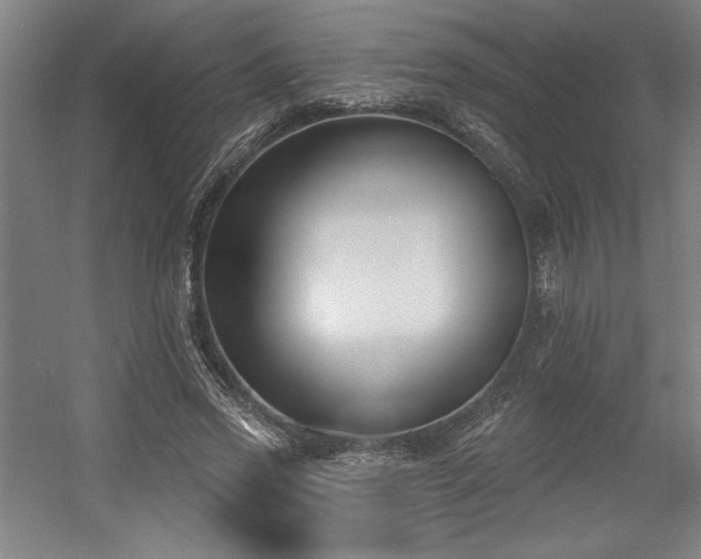 X0000056010733200508191300
