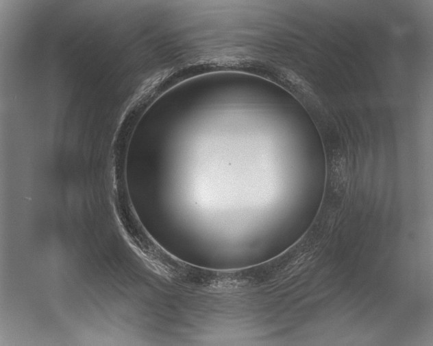 X0000056010734200508191300