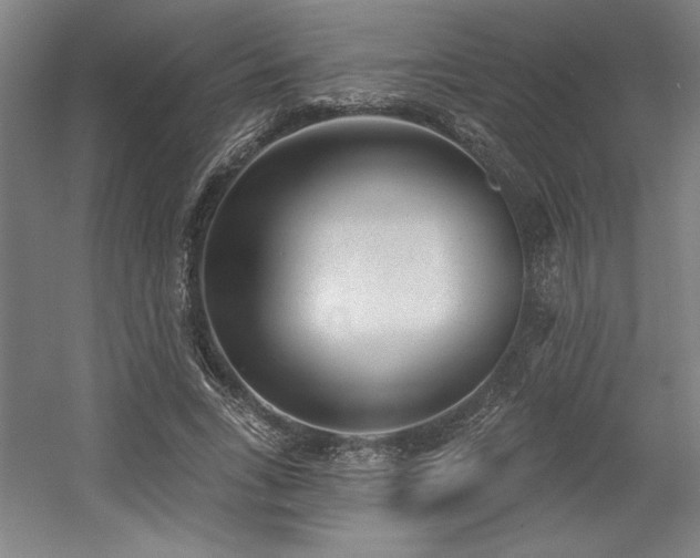 X0000056010735200508191300