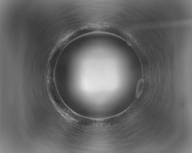 X0000056010736200508191301