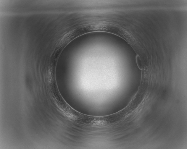 X0000056010741200508191301