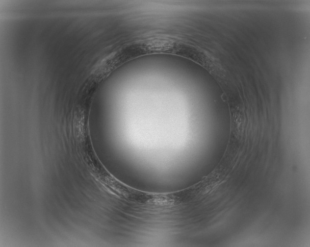 X0000056010745200508191301