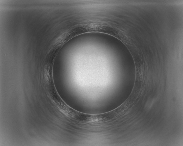 X0000056010746200508191301