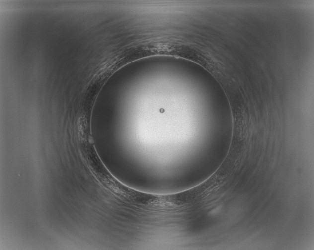 X0000056010747200508191301