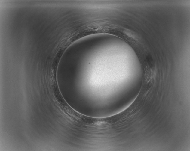 X0000056010748200508191301