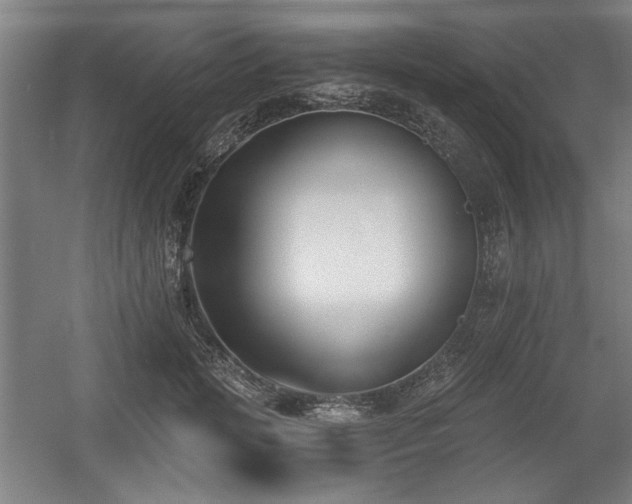 X0000056010749200508191301