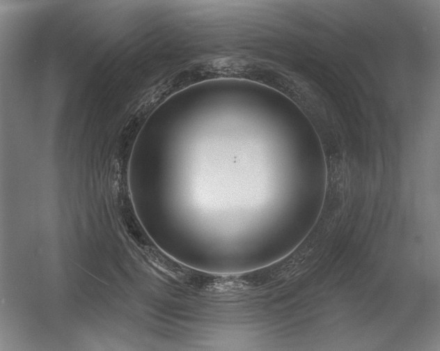 X0000056010752200508191301