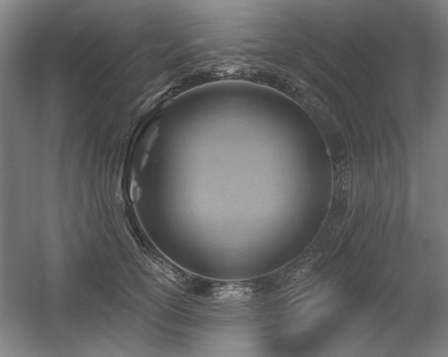 X0000056010754200508191301