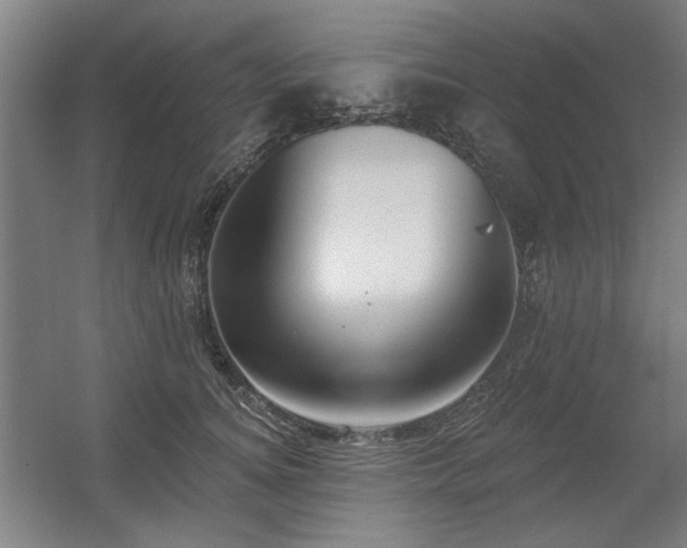 X0000056010756200508191301