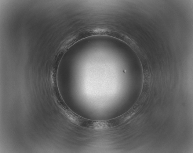 X0000056010762200508191301