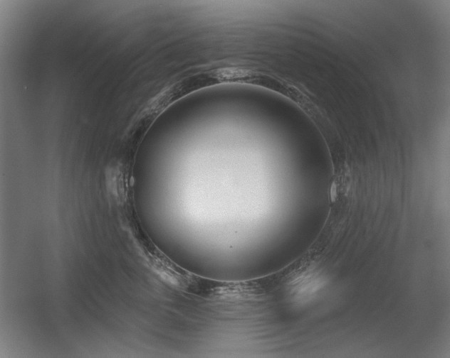 X0000056010763200508191301