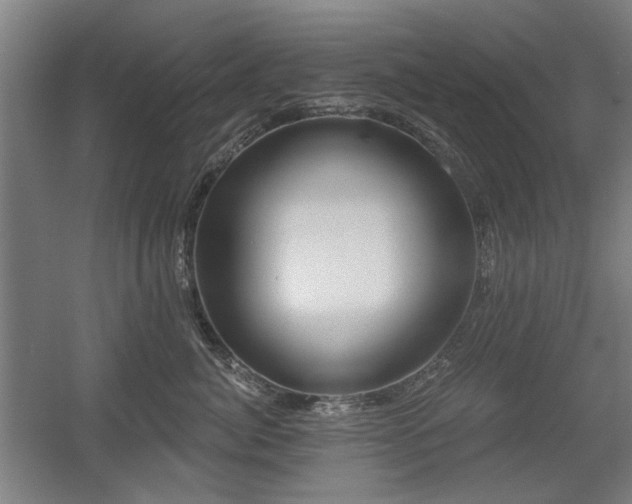 X0000056010764200508191301