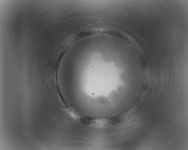 X0000056010765200508191301