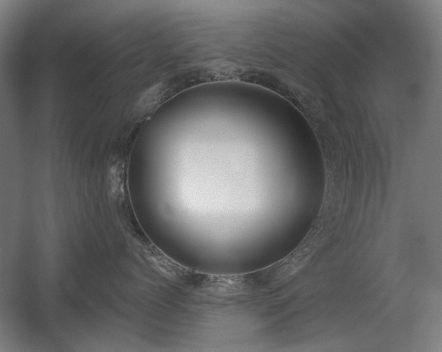 X0000056010768200508191301