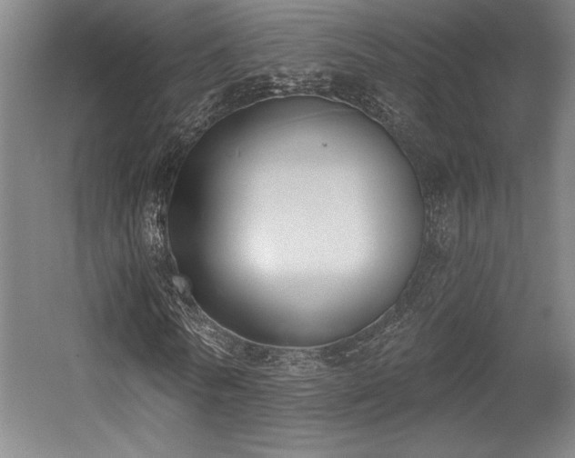 X0000056010770200508191300