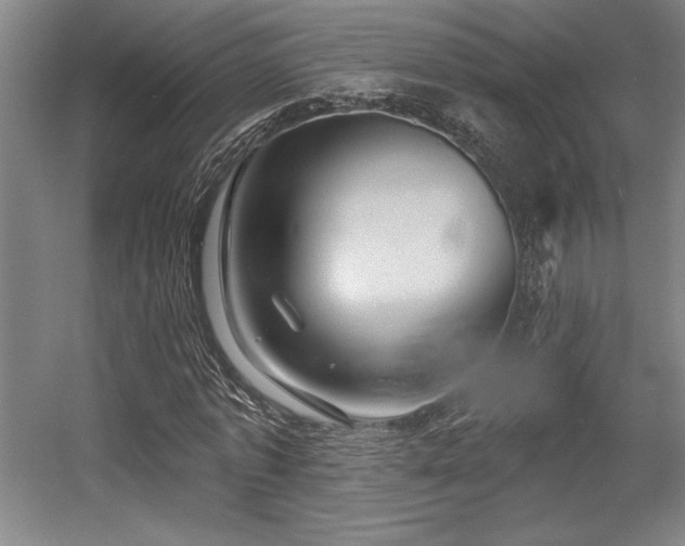 X0000056010773200508191300