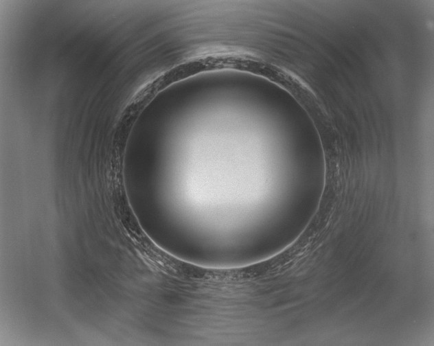 X0000056010775200508191300