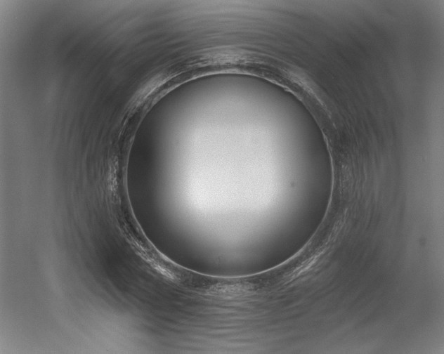 X0000056010778200508191300