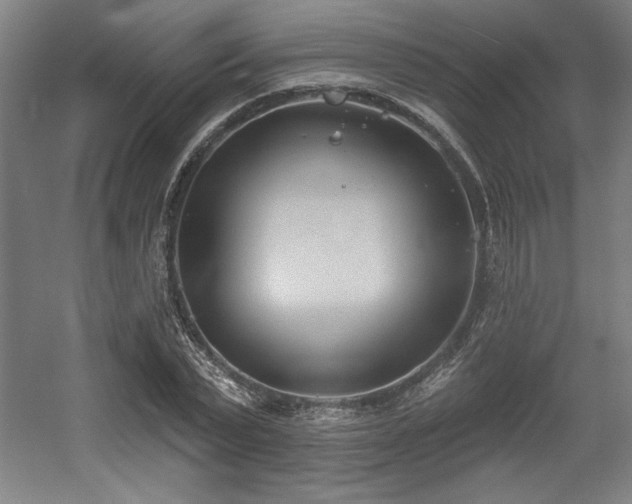 X0000056010783200508191300