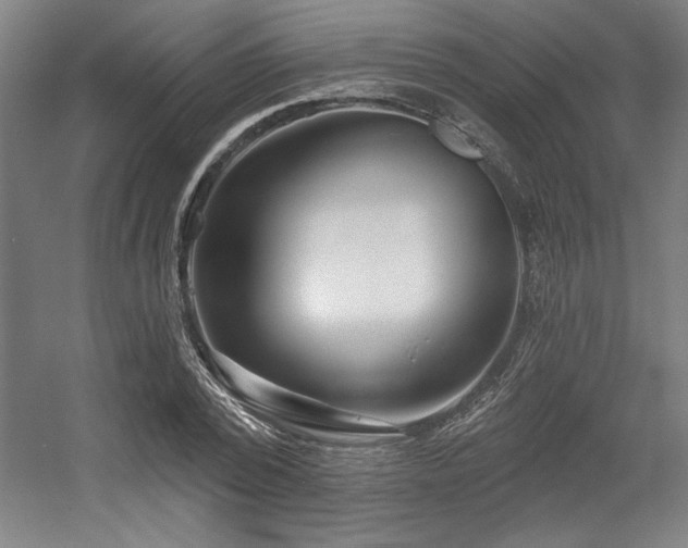 X0000056010784200508191300
