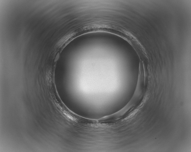 X0000056010785200508191300