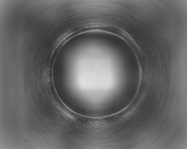 X0000056010786200508191300
