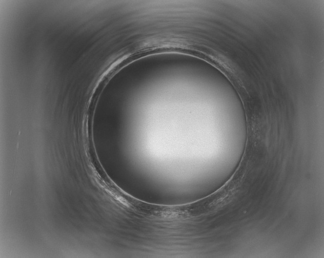 X0000056010790200508191300