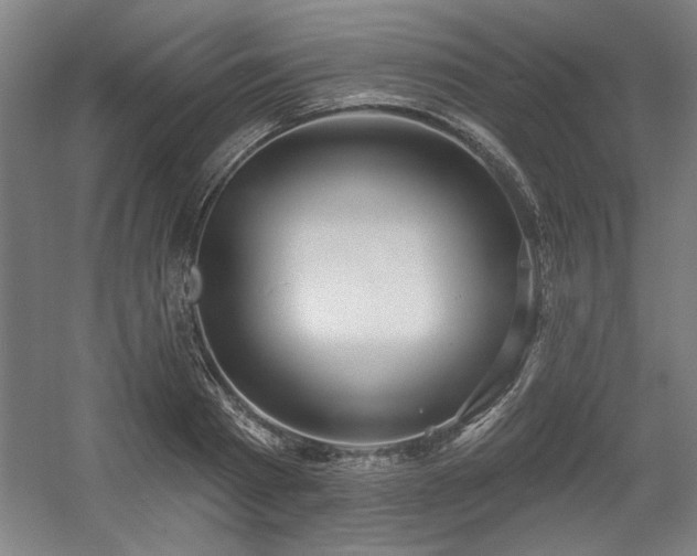 X0000056010793200508191300