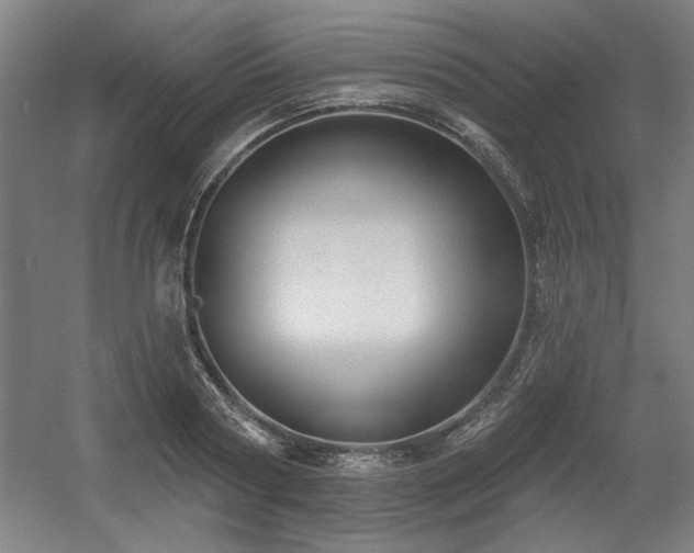 X0000056010794200508191300