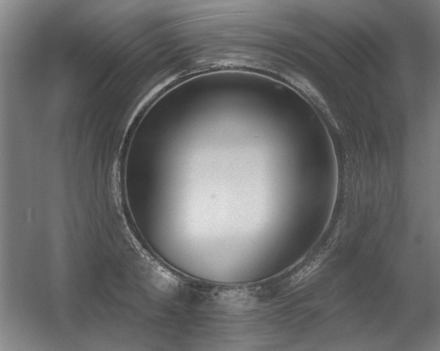 X0000056010798200508191300