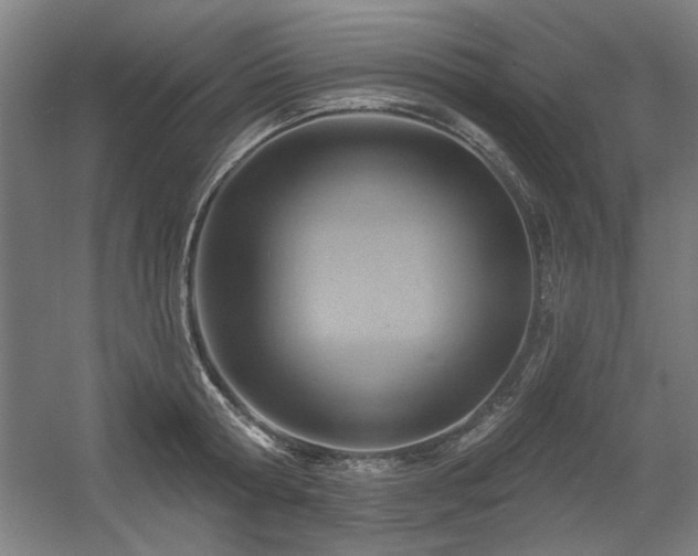X0000056010802200508191300