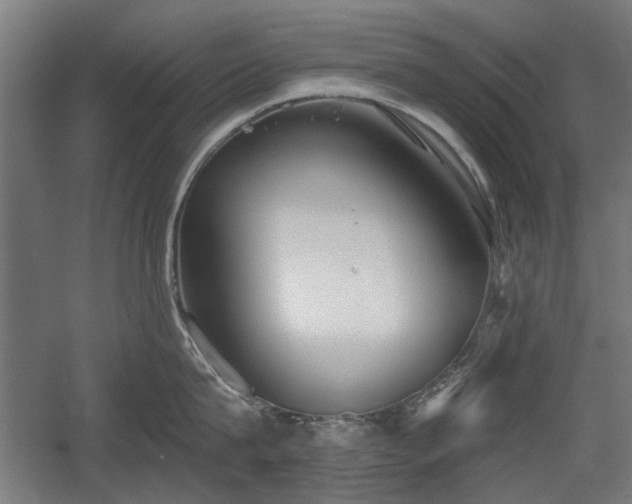 X0000056010815200508191259